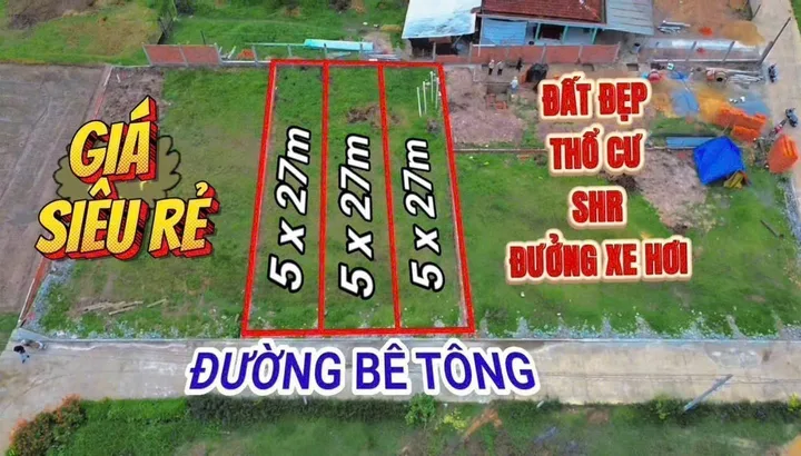 Bất động sản tại Long An - ảnh 1