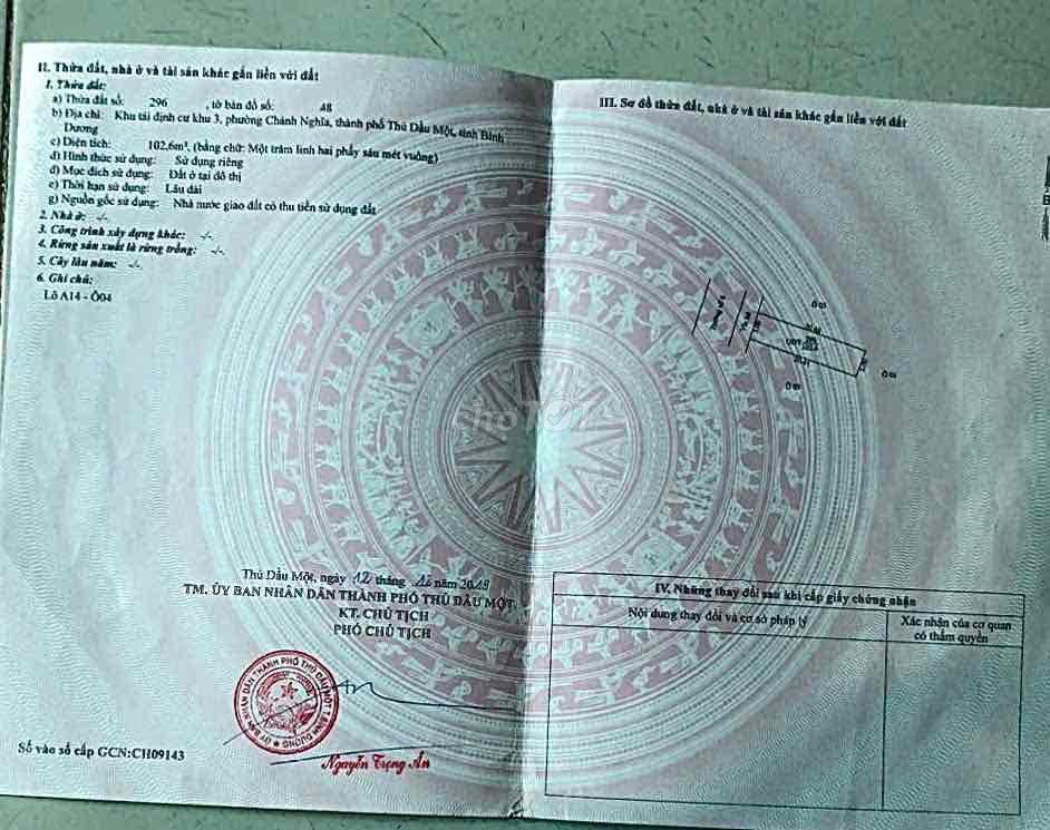Bất động sản tại Bình Dương - ảnh 1