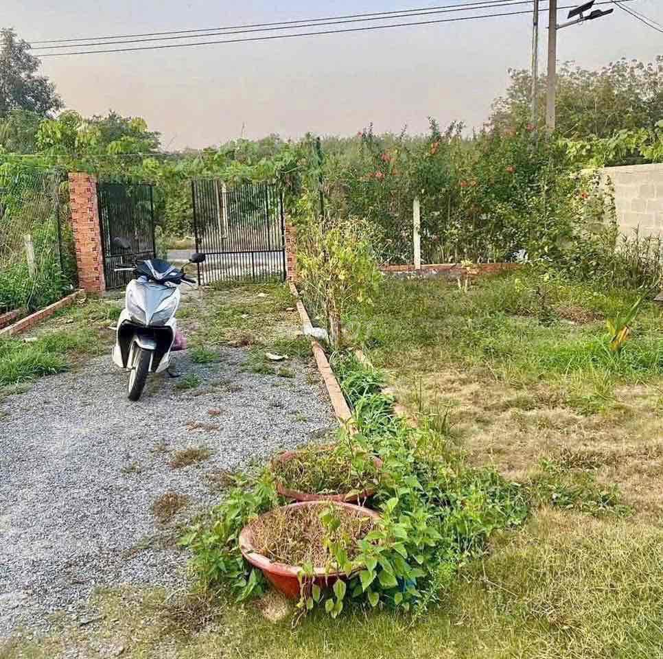Bất động sản tại Bình Dương - ảnh 1