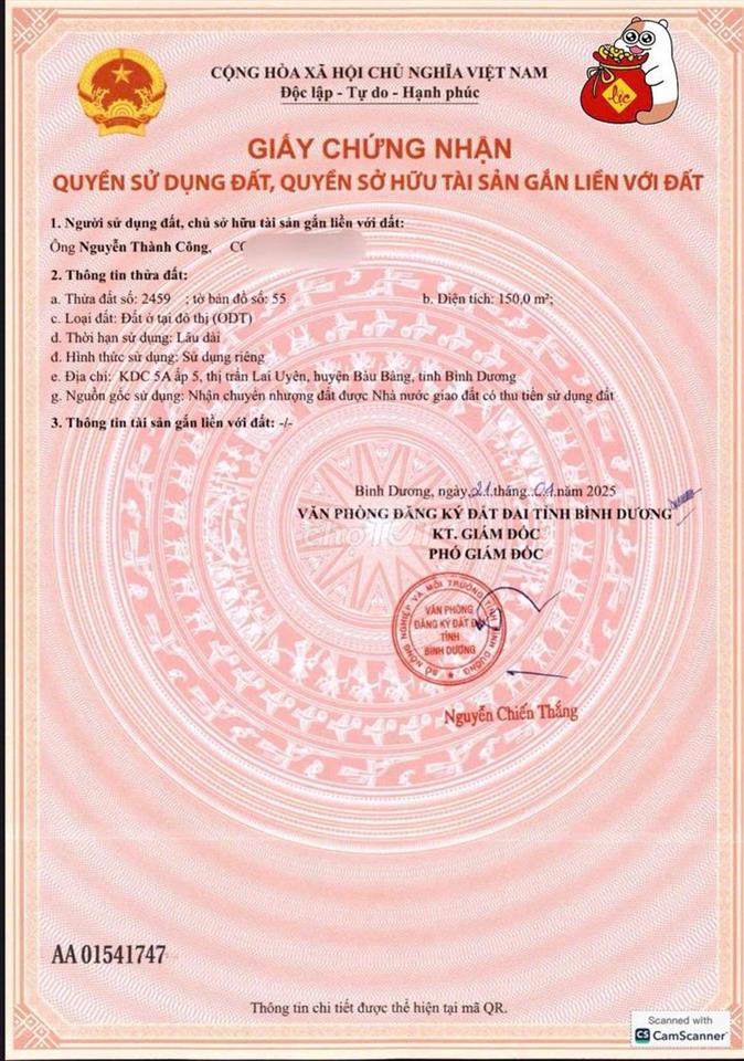 Bất động sản tại Bình Dương - ảnh 1