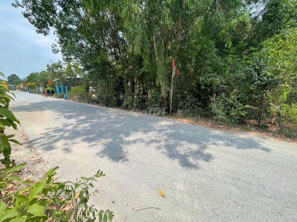 Bất động sản tại Bình Dương - ảnh 1