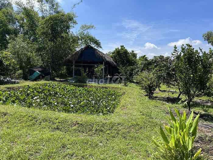 Bất động sản tại Bình Dương - ảnh 1