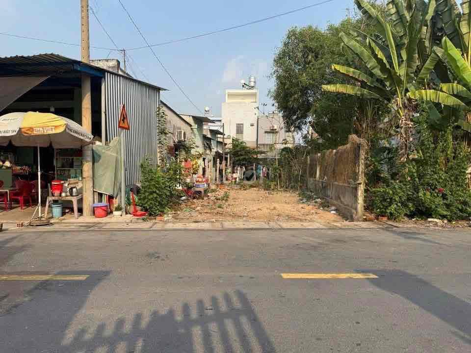 Bất động sản tại Bình Dương - ảnh 1