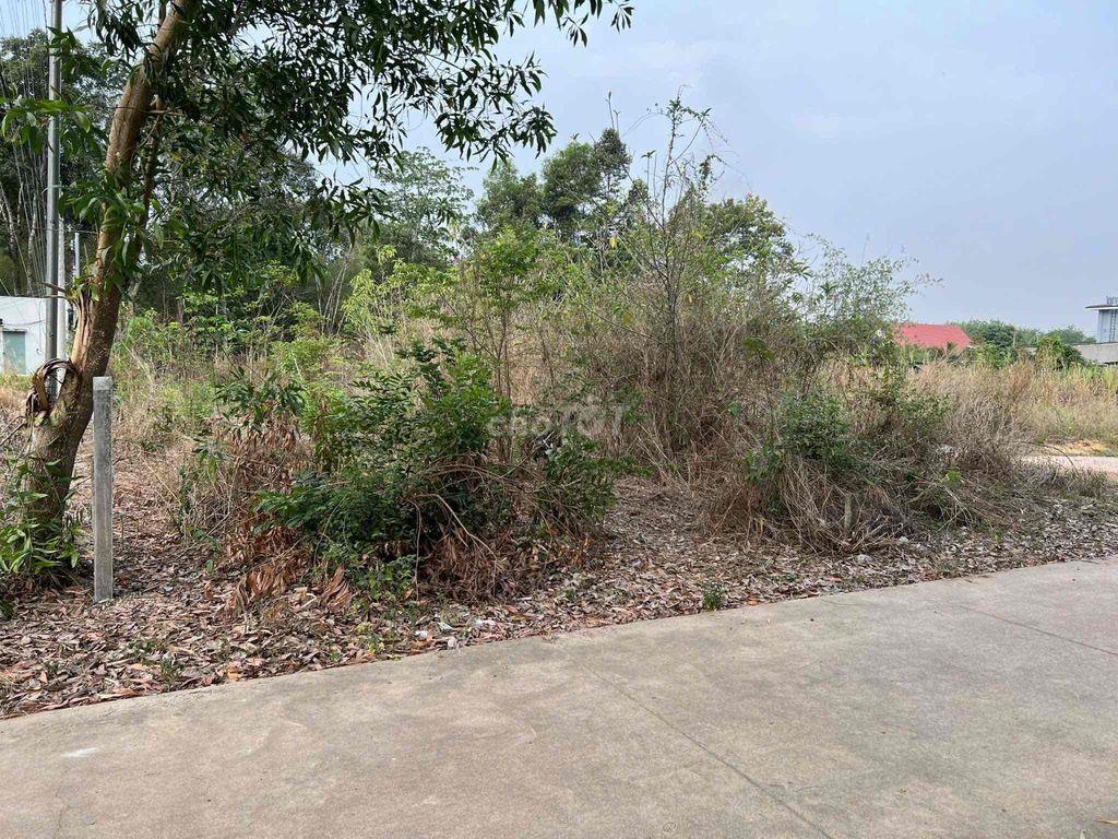 Bất động sản tại Bình Dương - ảnh 1