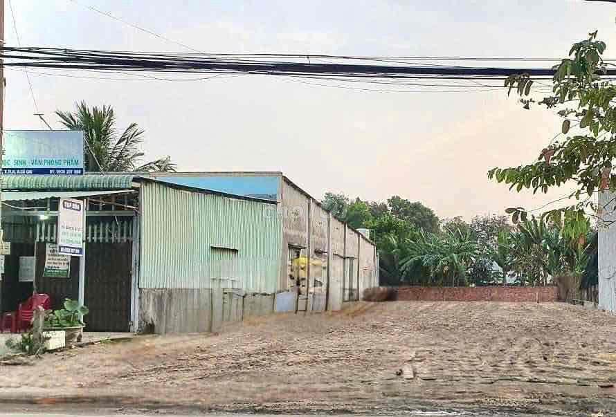 Bất động sản tại Bình Dương - ảnh 1