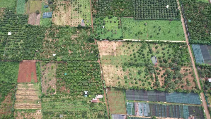 Bất động sản tại Đắk Lắk - ảnh 1