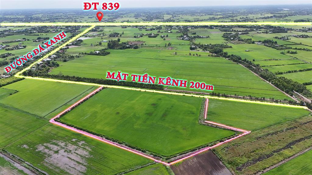 Bất động sản tại Long An - ảnh 1