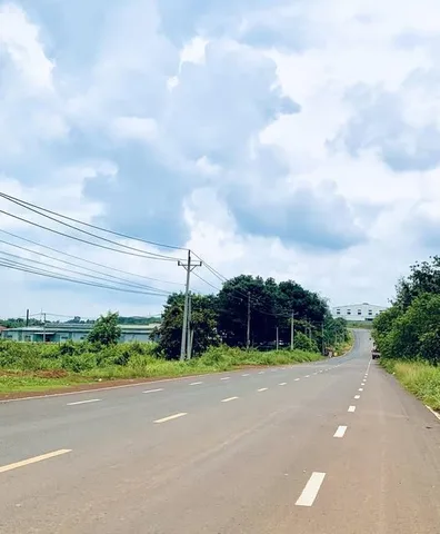 Bất động sản tại Đồng Nai - ảnh 1