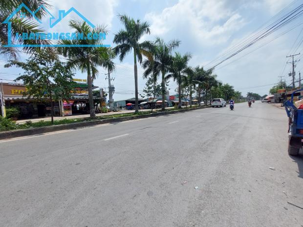 Bất động sản tại Long An - ảnh 1