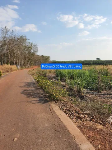 Bất động sản tại Bình Dương - ảnh 1