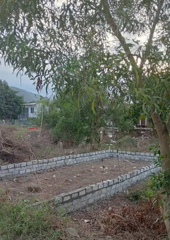 Bất động sản tại Khánh Hòa - ảnh 1