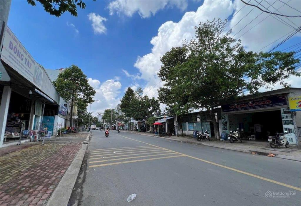 Bất động sản tại Bình Dương - ảnh 1