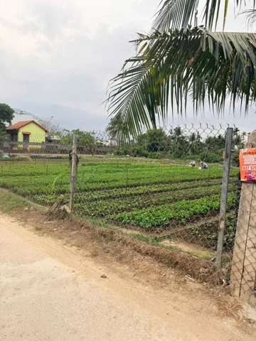 Bất động sản tại Khánh Hòa - ảnh 1