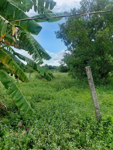 Bất động sản tại Long An - ảnh 1