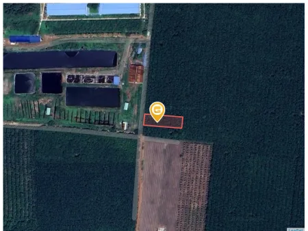 Bất động sản tại Bình Phước - ảnh 1