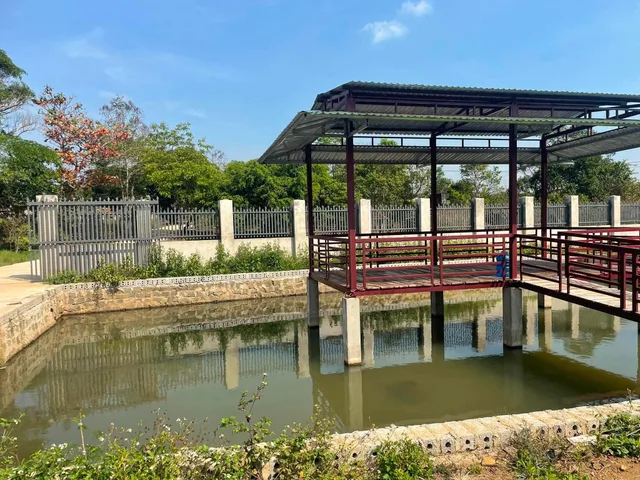 Bất động sản tại Gia Lai - ảnh 1