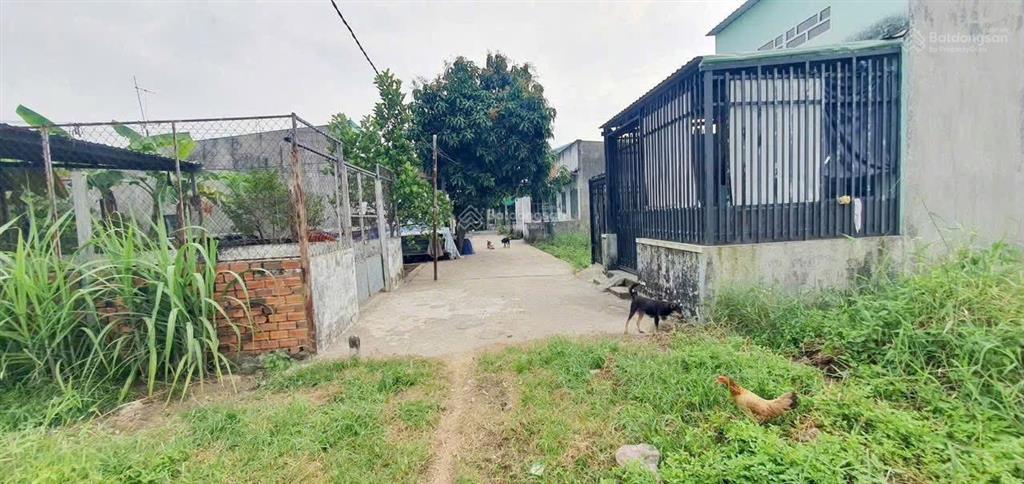 Bất động sản tại Long An - ảnh 1