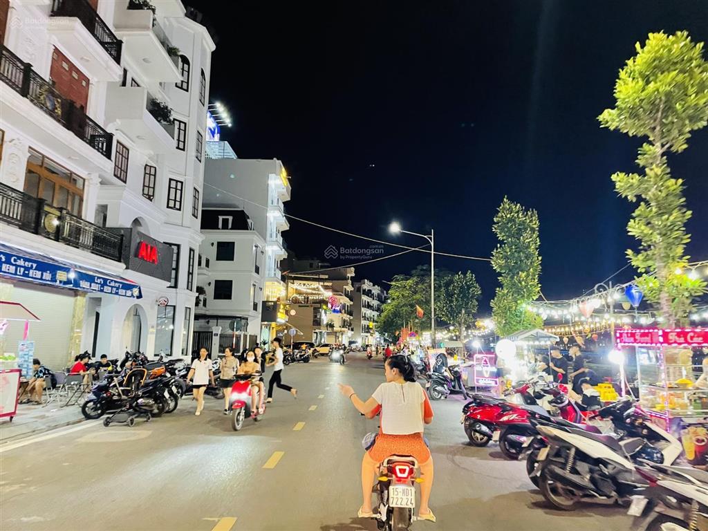 Bất động sản tại Hải Phòng - ảnh 1