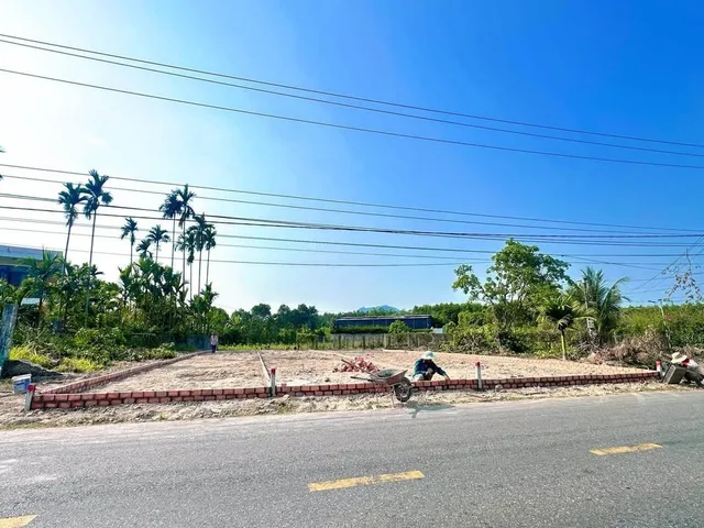 Bất động sản tại Đà Nẵng - ảnh 1