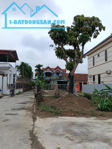 Bất động sản tại Hưng Yên - ảnh 1