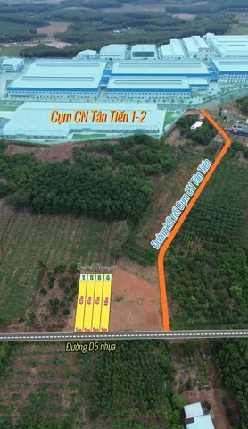 Bất động sản tại Đồng Nai - ảnh 1