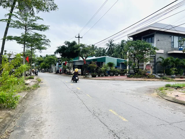Bất động sản tại Bình Định - ảnh 1