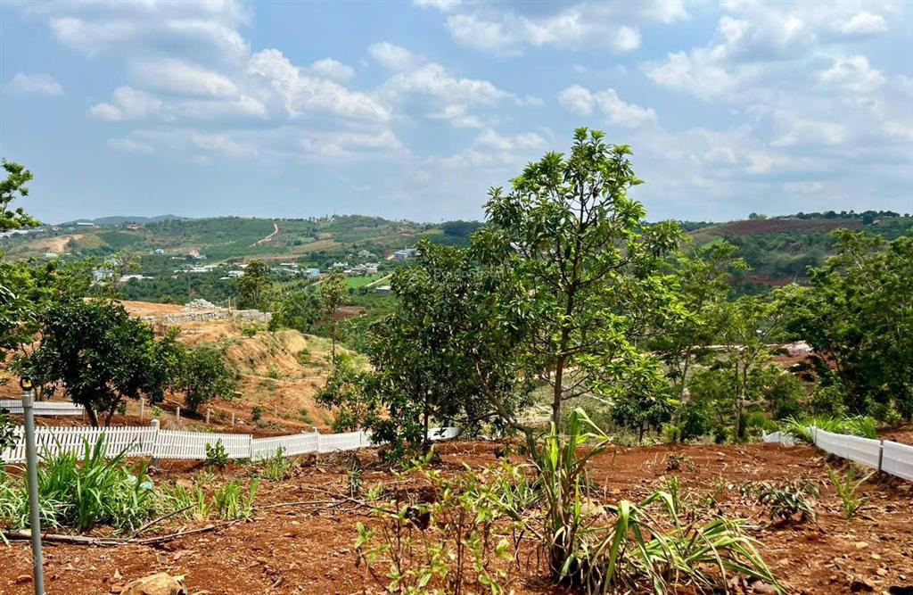 Bất động sản tại Lâm Đồng - ảnh 1