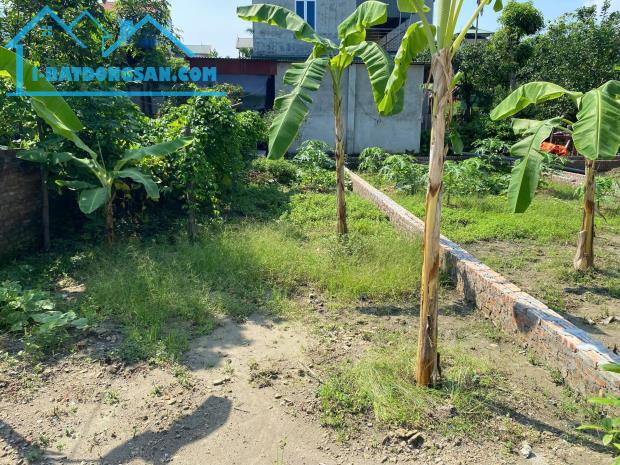 Bất động sản tại Bắc Ninh - ảnh 1