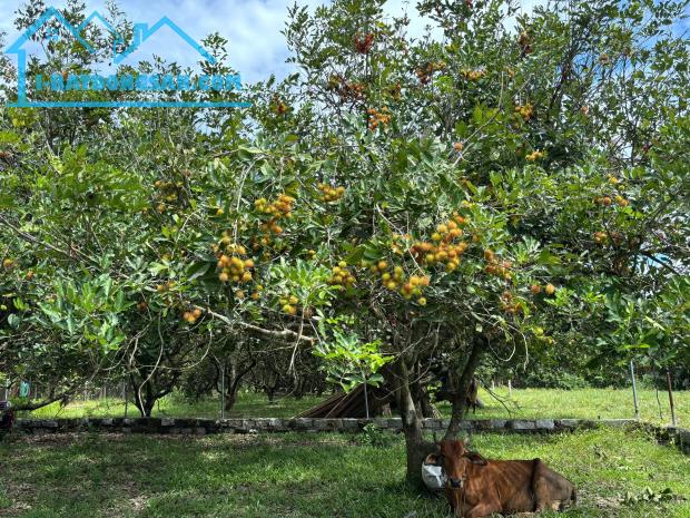 Bất động sản tại Khánh Hòa - ảnh 1