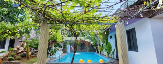 Bất động sản tại Bà Rịa - Vũng Tàu - ảnh 1