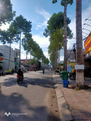 Bất động sản tại Đồng Tháp - ảnh 1