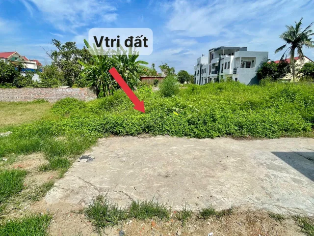 Bất động sản tại Hải Phòng - ảnh 1