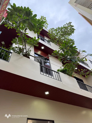 Bất động sản tại Đà Nẵng - ảnh 1