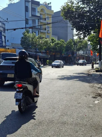 Bất động sản tại Bình Dương - ảnh 1