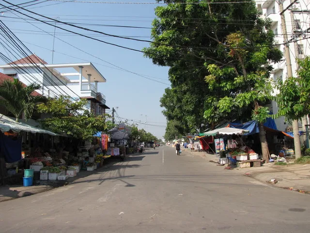 Bất động sản tại Bình Dương - ảnh 1