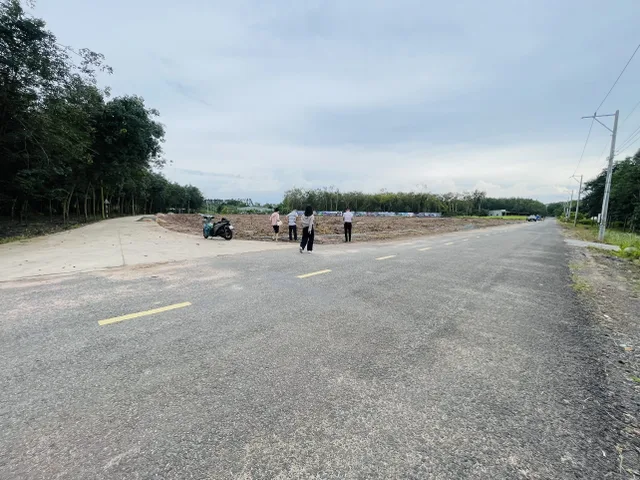 Bất động sản tại Bình Dương - ảnh 1