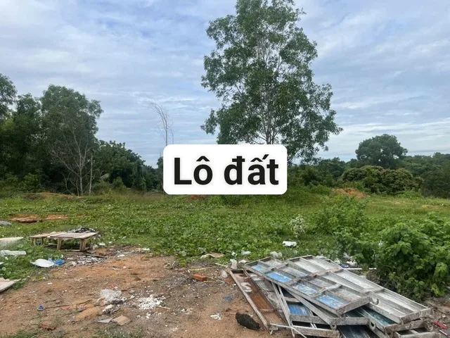 Bất động sản tại Lâm Đồng - ảnh 1