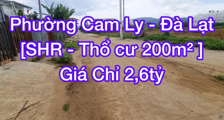 Bất động sản tại Lâm Đồng - ảnh 1