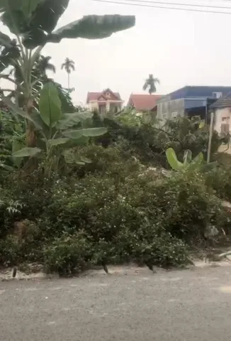 Bất động sản tại Hải Phòng - ảnh 1