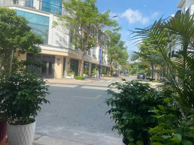 Bất động sản tại TP. Hồ Chí Minh - ảnh 1