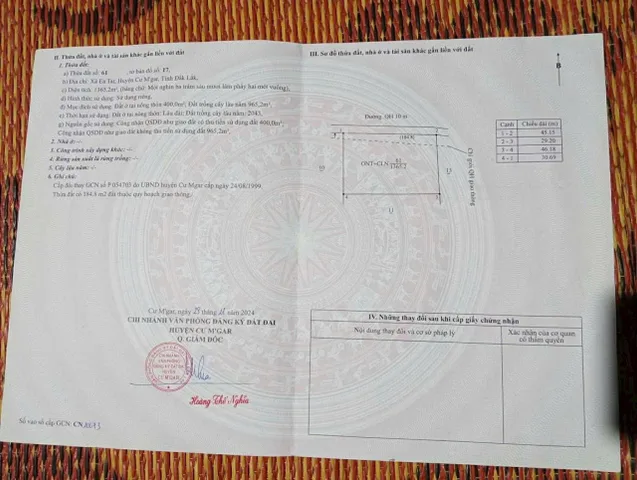 Bất động sản tại Đắk Lắk - ảnh 1