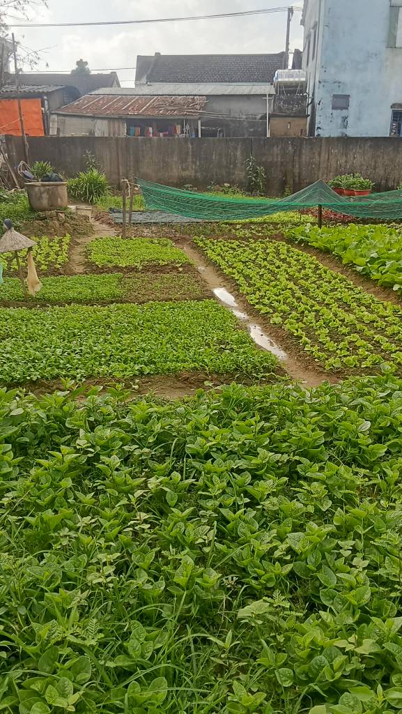 Bất động sản tại Quảng Nam - ảnh 1