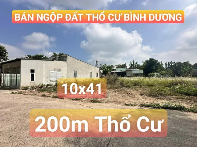 Bất động sản tại Bình Dương - ảnh 1