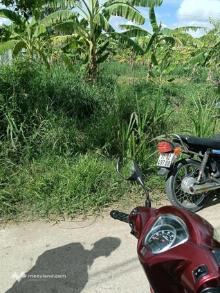 Bất động sản tại Bến Tre - ảnh 1