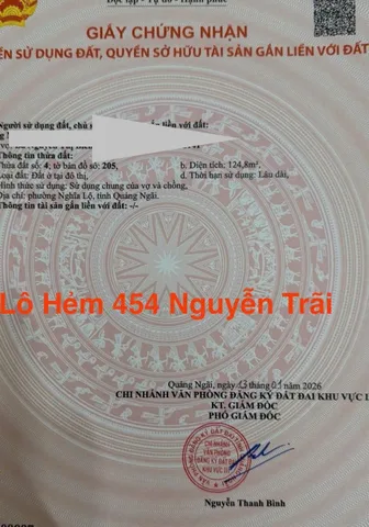 Bất động sản tại Quảng Ngãi - ảnh 1