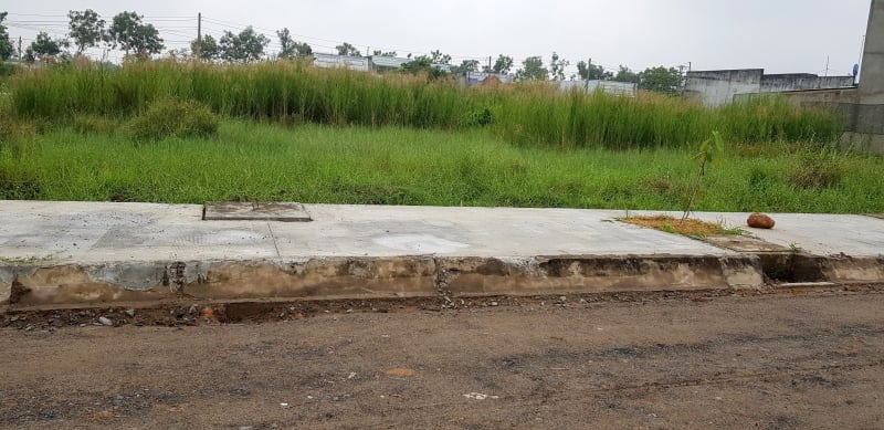 Bất động sản tại Long An - ảnh 1