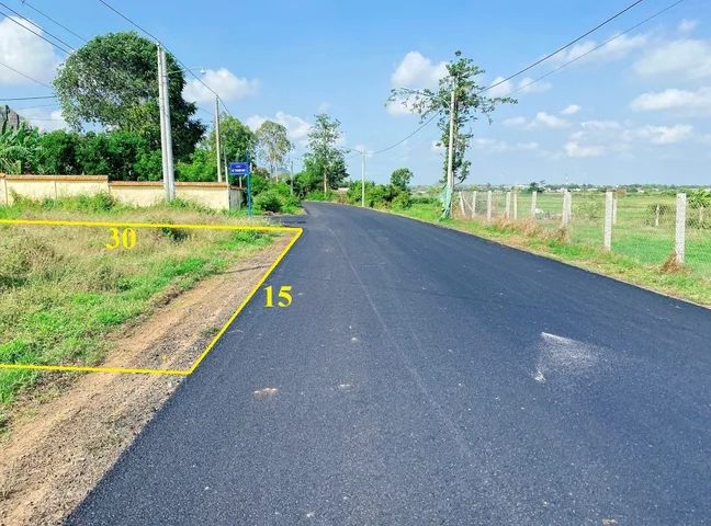 Bất động sản tại Bình Dương - ảnh 1