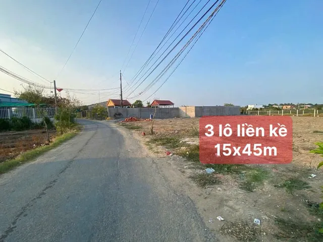 Bất động sản tại Bình Dương - ảnh 1