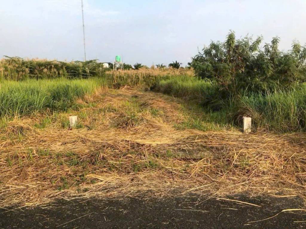Bất động sản tại Long An - ảnh 1