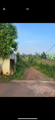 Bất động sản tại Bà Rịa - Vũng Tàu - ảnh 1